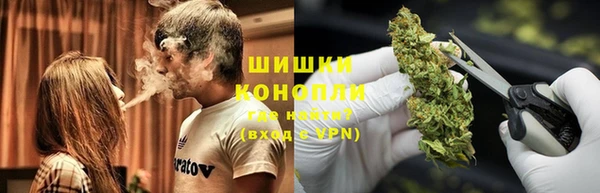 крисы Абдулино
