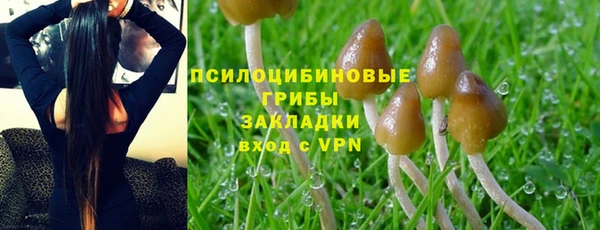 2c-b Абаза
